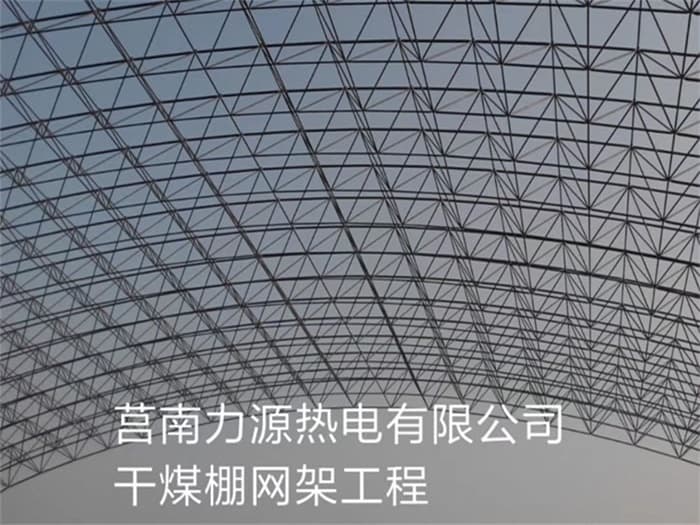 巴南力源热电有限公司干煤棚网架工程